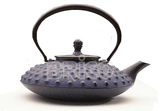 Cast Iron Tea Kettle - T0800SP